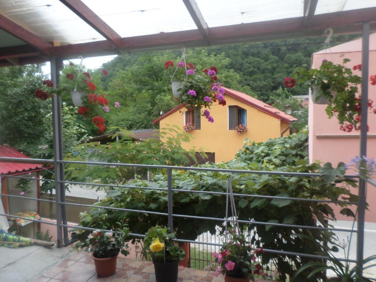 Casa Iza Lejlighed Băile Herculane Eksteriør billede