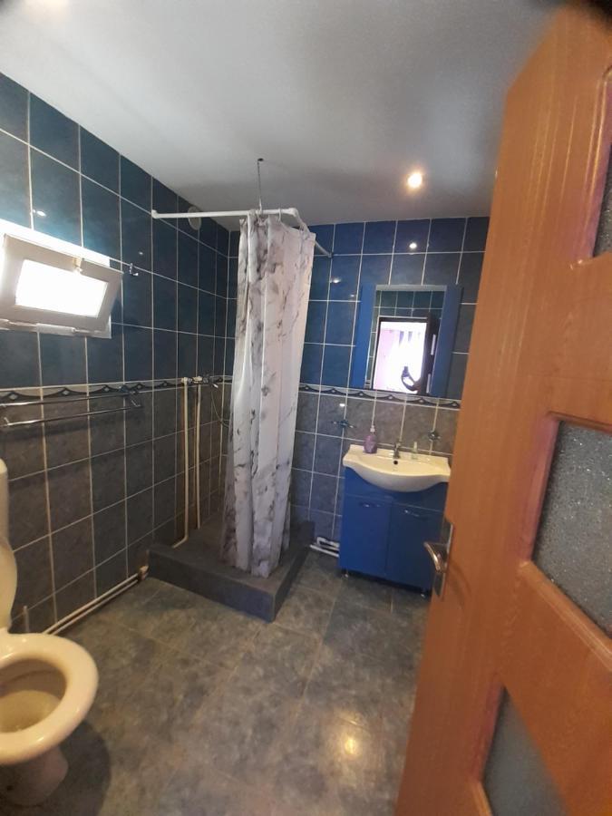 Casa Iza Lejlighed Băile Herculane Eksteriør billede