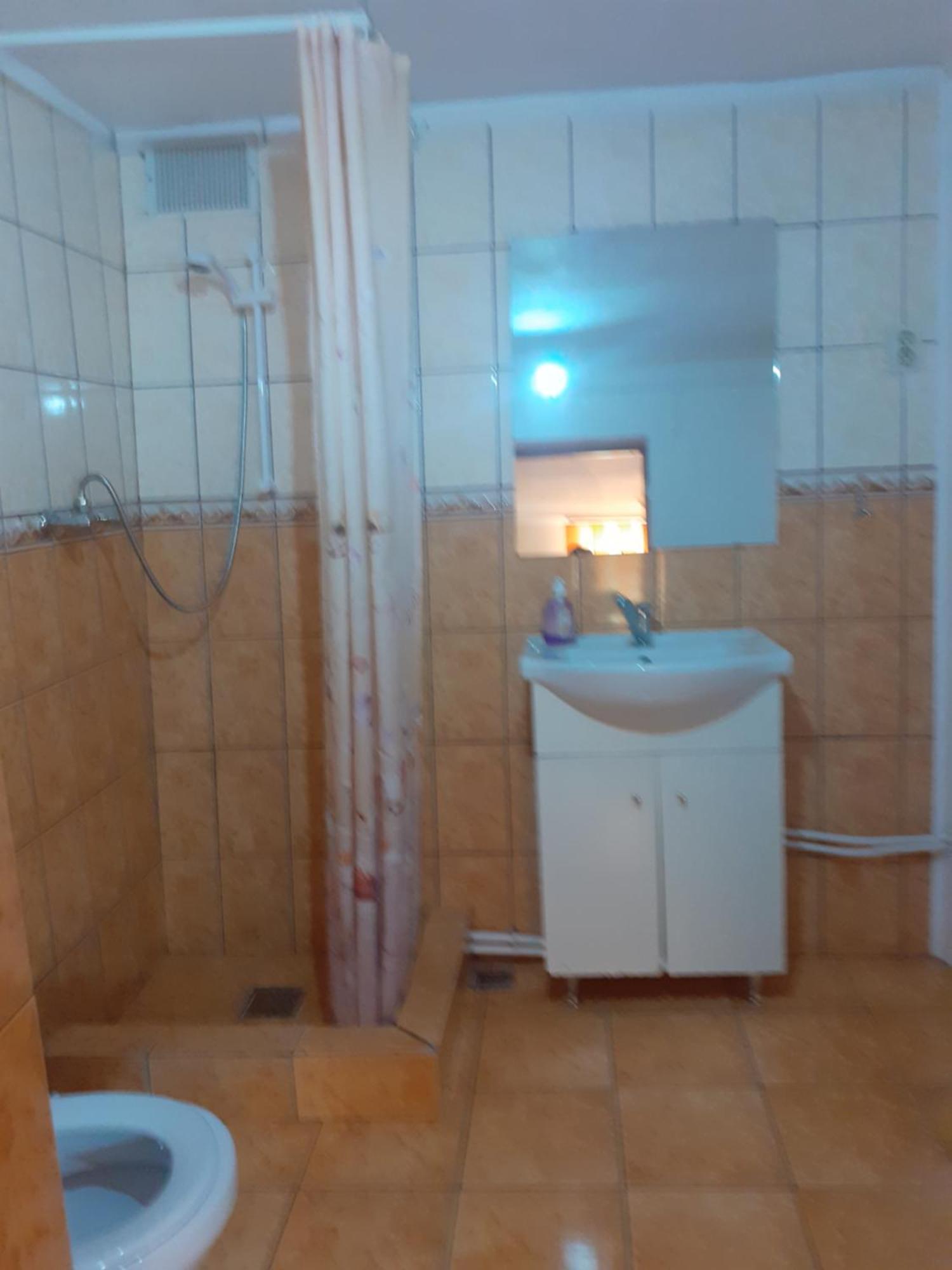 Casa Iza Lejlighed Băile Herculane Eksteriør billede